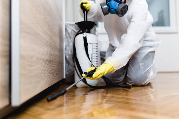 Best Flea Control Services  in Moon Lake, FL