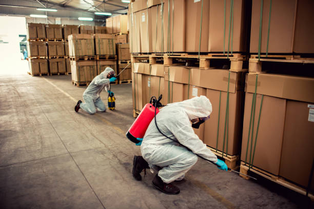 Best Affordable Pest Control Services  in Moon Lake, FL