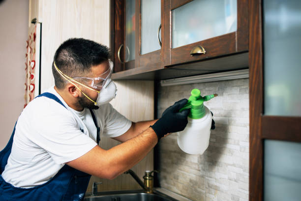 Best Wildlife Control Services  in Moon Lake, FL
