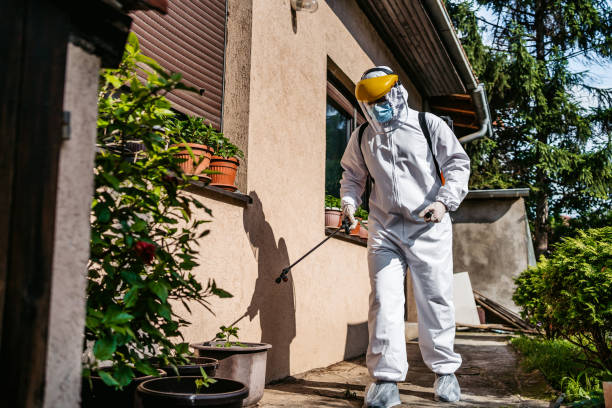 Best Spider Control Near Me  in Moon Lake, FL