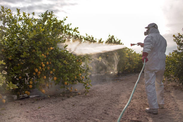 Best Best Pest Control Companies  in Moon Lake, FL
