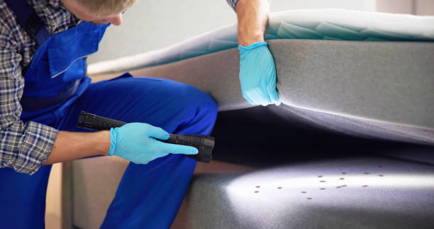 Best Pest Removal Services  in Moon Lake, FL