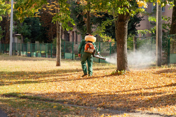  Moon Lake, FL Pest Control Pros