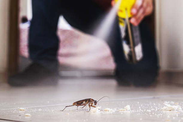 Trusted Moon Lake, FL Pest Control Experts