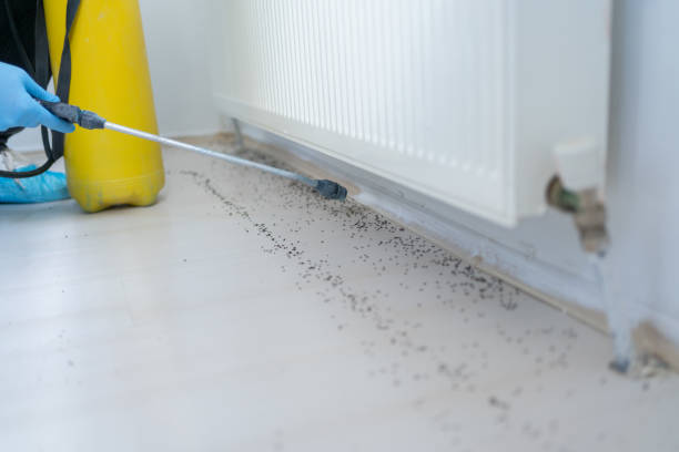 Best Cockroach Control Services  in Moon Lake, FL