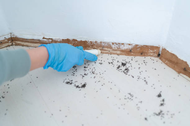 Best Pest Control Treatment  in Moon Lake, FL
